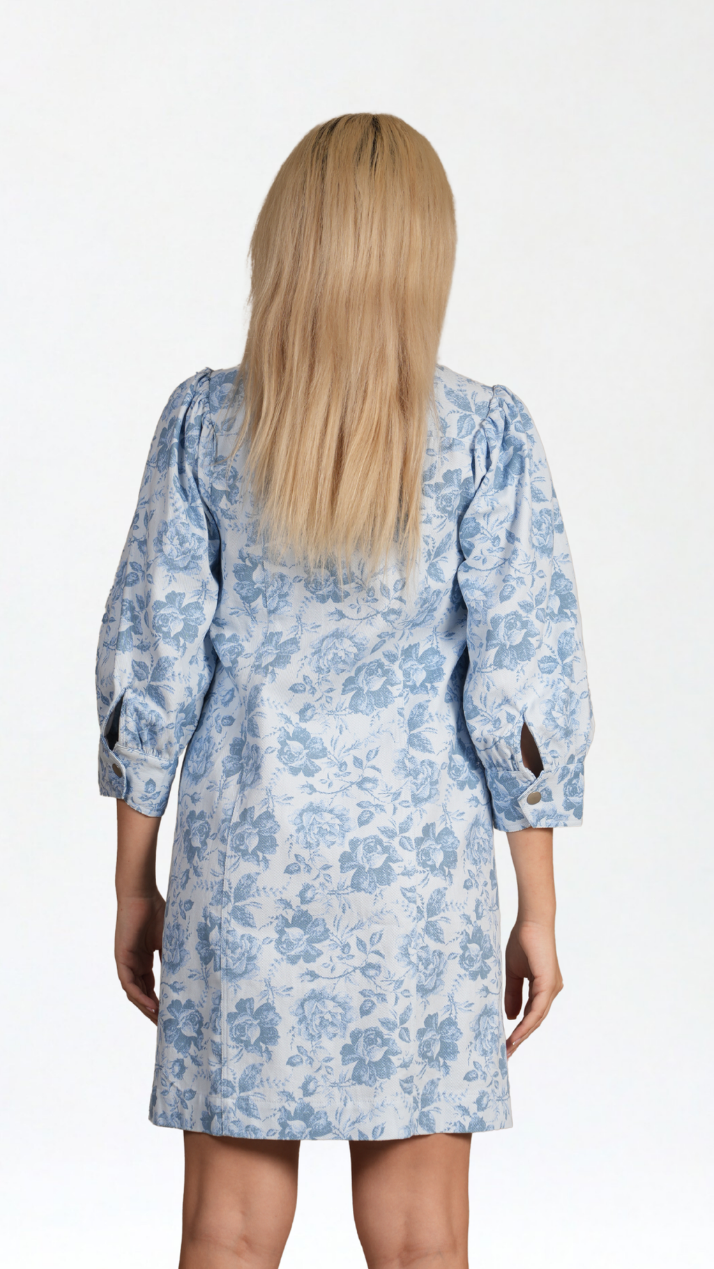 Lolena Shirt Dress