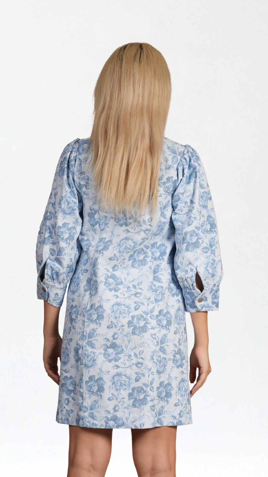 Lolena Shirt Dress