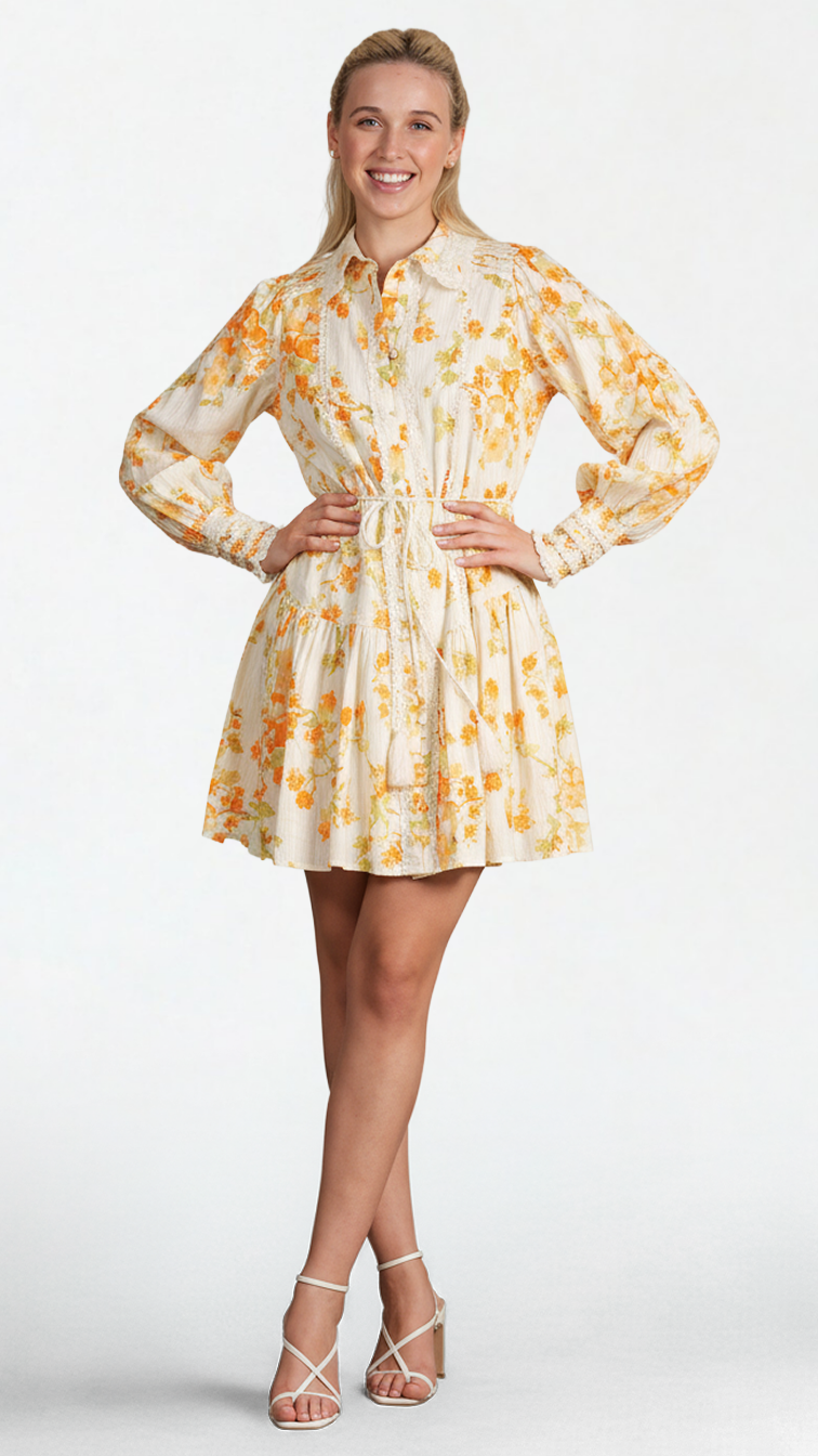 Somelli Shirt Dress